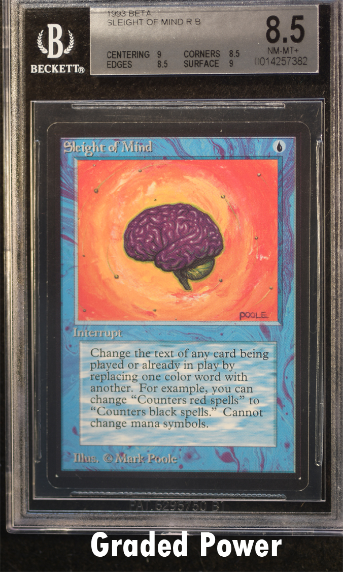 Sleight of Mind  8.5  (7382)