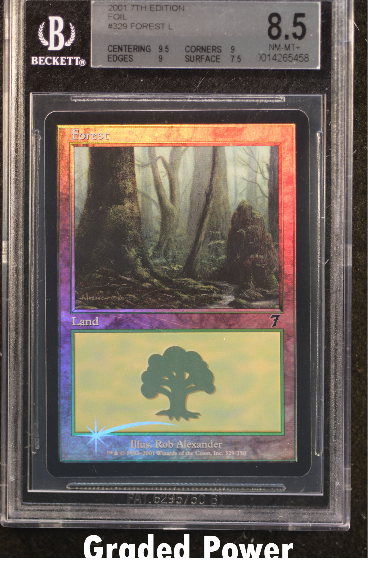 Forest BGS 8.5 (5458)