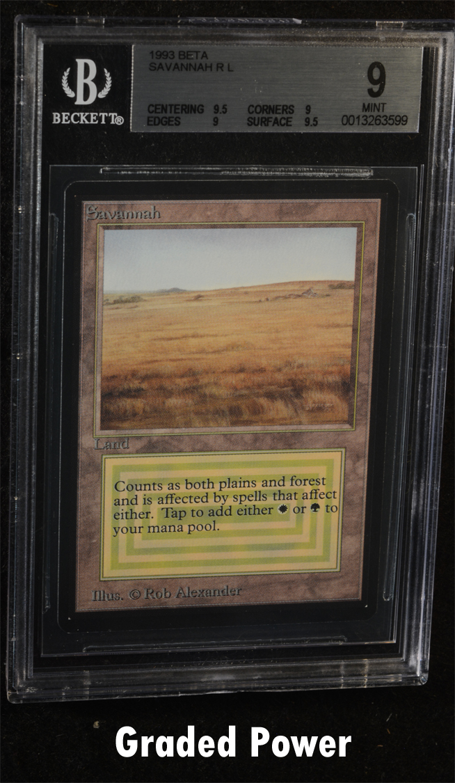Savannah  9  (3599) Quad ++