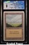 Plains (No Trees) CGC 9 (9131)