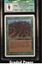 Wall of Wood CGC 9 (9189)