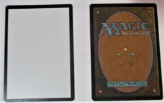 Innistrad Crimson Vow ERROR Helper Card