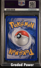 Jungle Pikachu CHINESE PSA 8 World Collection Promo 60/64