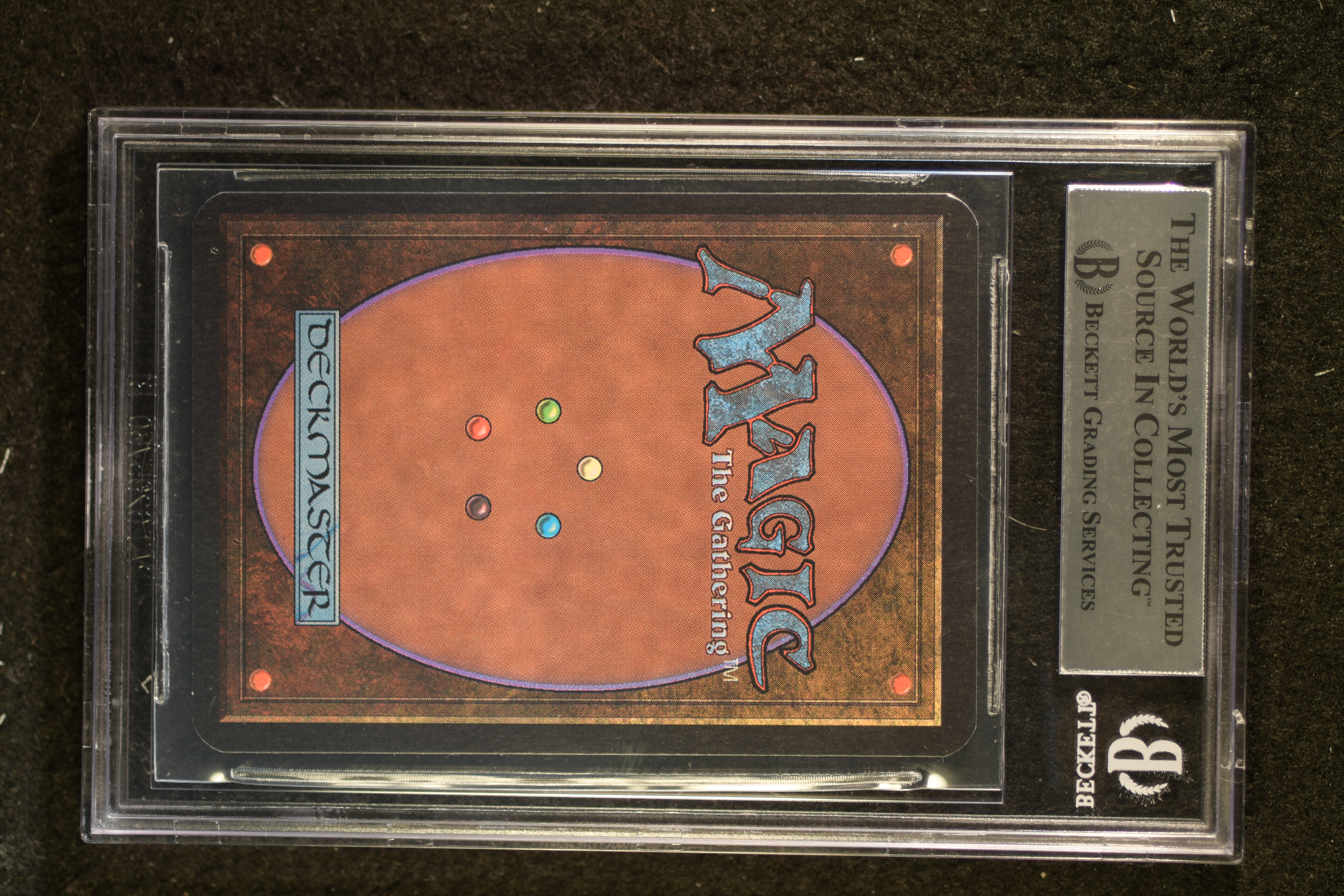 Savannah Lions BGS 8.5 (2523)