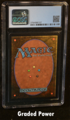 Forest (Mushrooms) CGC 9 Quad ++
