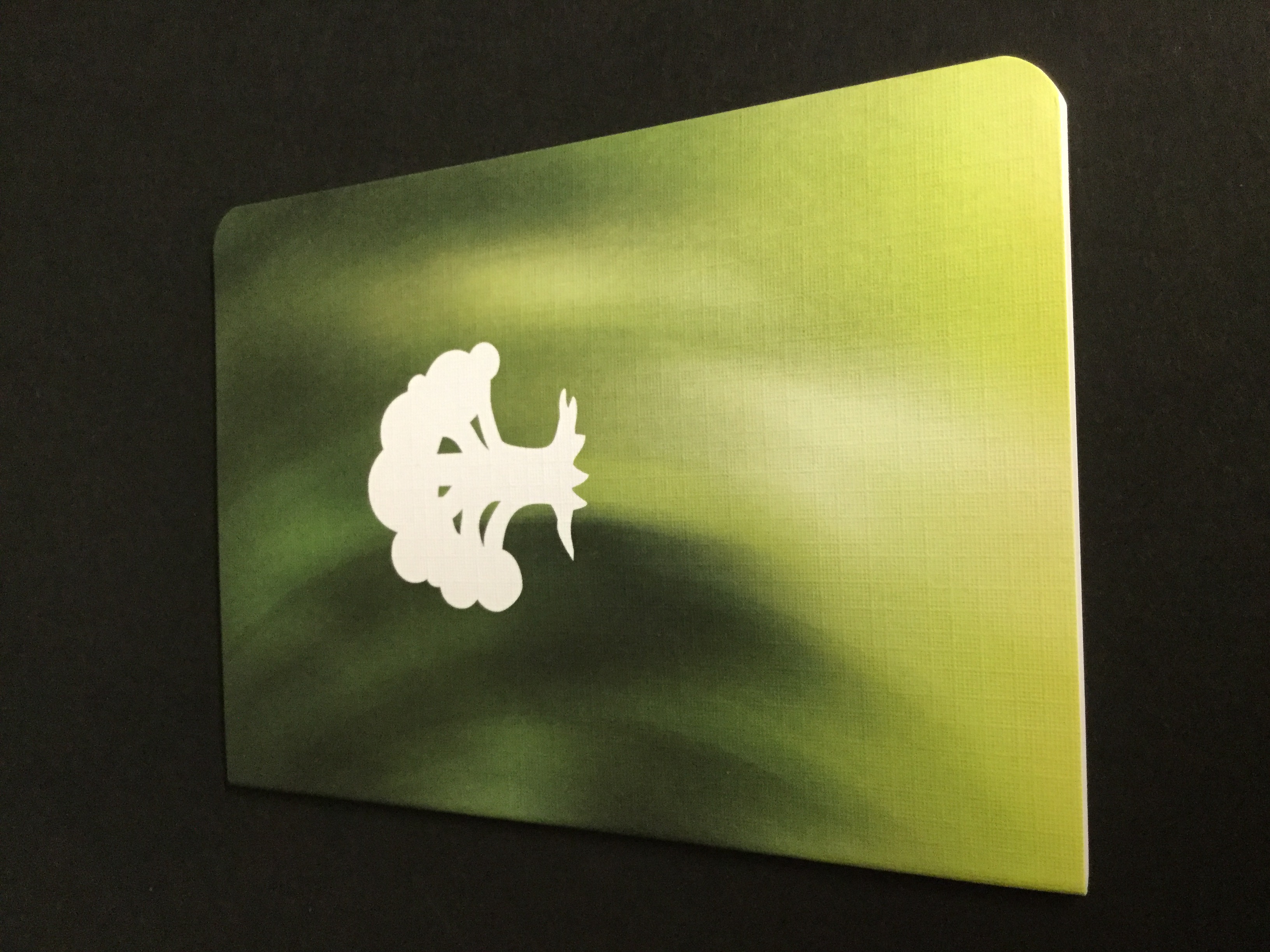 Green Mana Pocket Journal (1) NEW