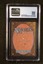 Stone Giant CGC 8 (GAD-9181)