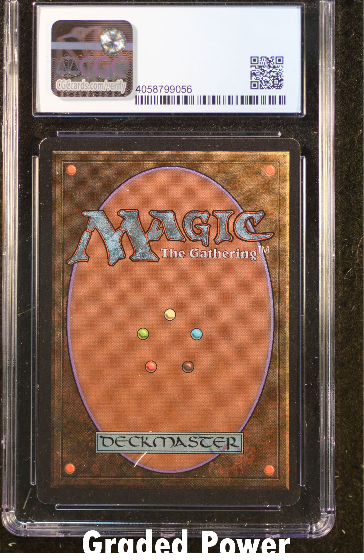 Feedback CGC 8 (9056)
