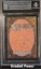 Swamp BGS 9