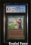 Fastbond CGC 8.5