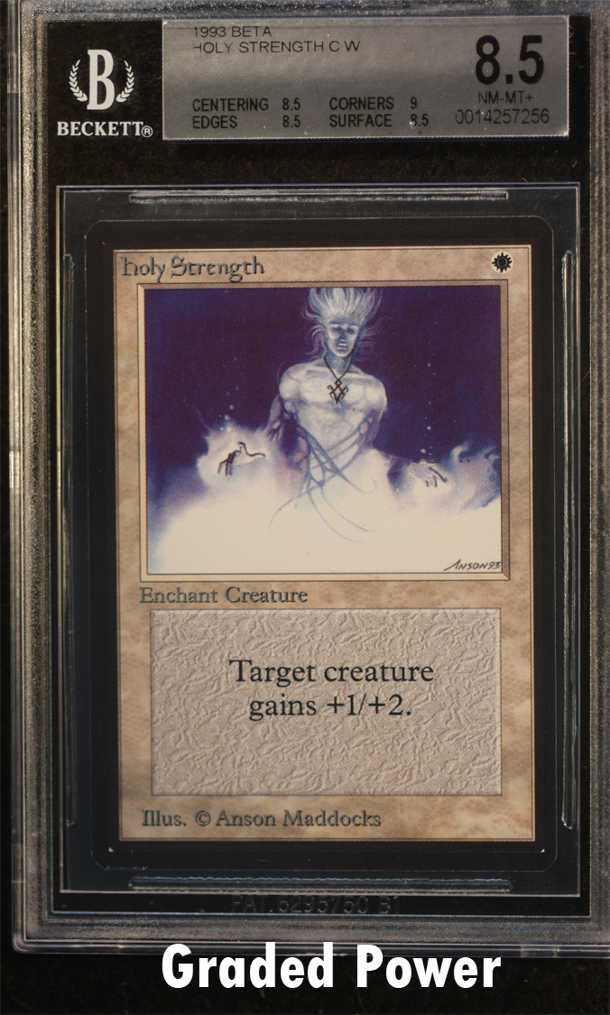 Holy Strength  8.5  (7256)