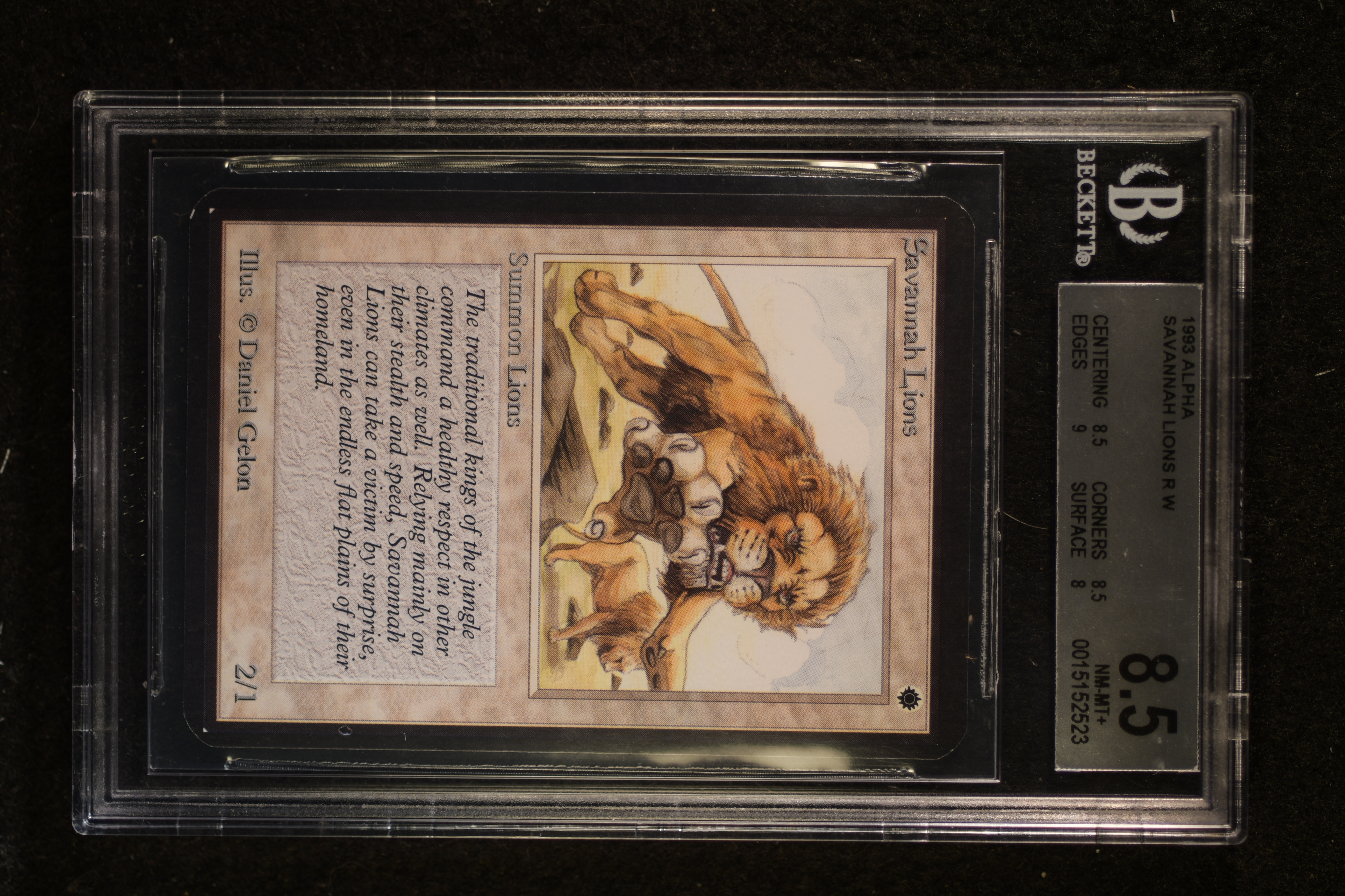Savannah Lions BGS 8.5 (2523)