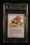 Savannah Lions BGS 8.5 (2523)