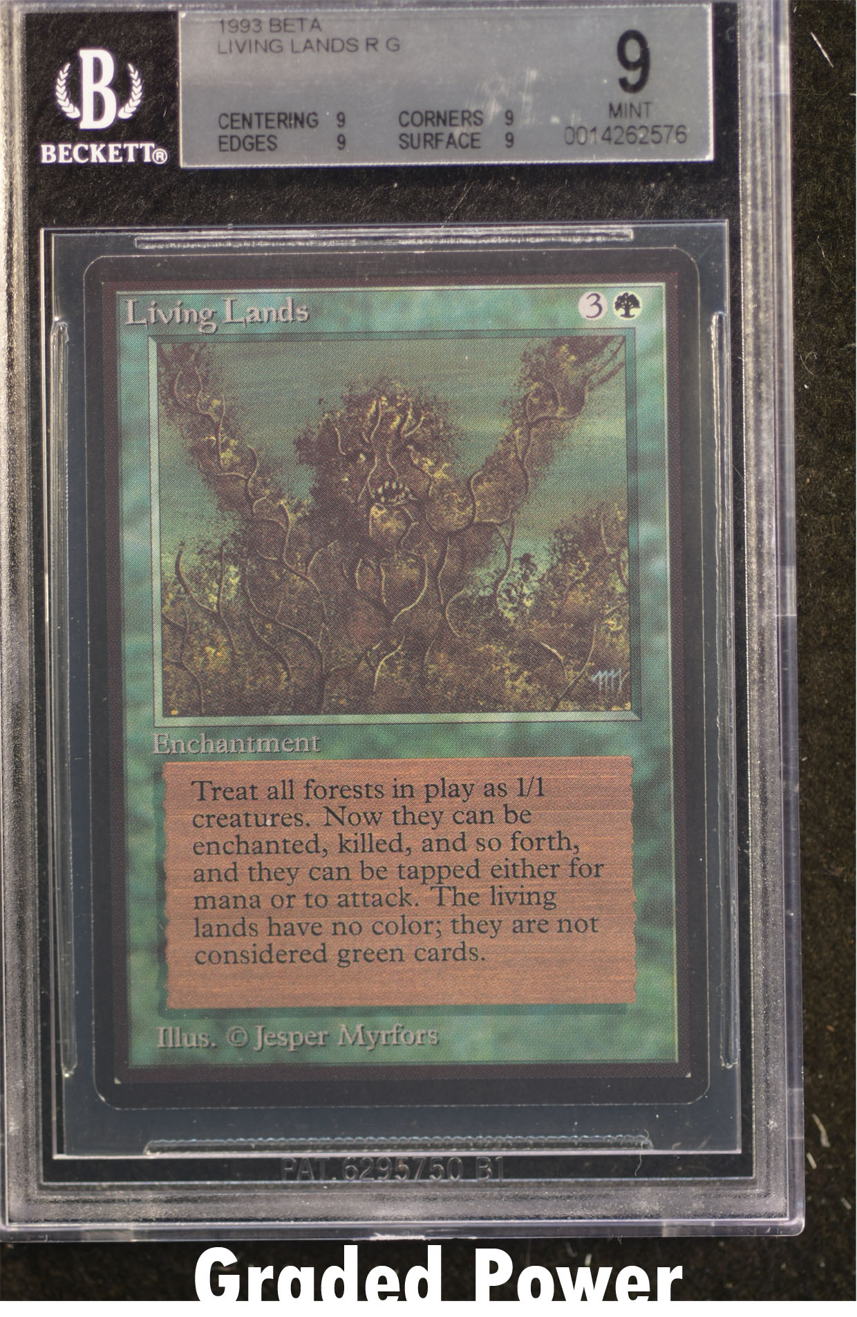 Living Lands BGS 9 QUAD (2576)