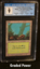 Forest (Mushrooms) CGC 9 Quad +