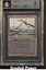 Swamp BGS 9 QUAD++ (2572)