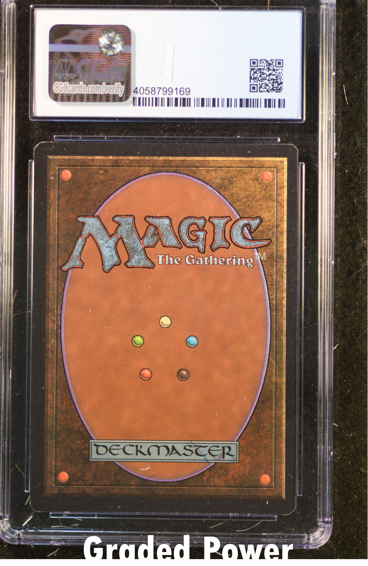 Thicket Basilisk CGC 8 (9169)