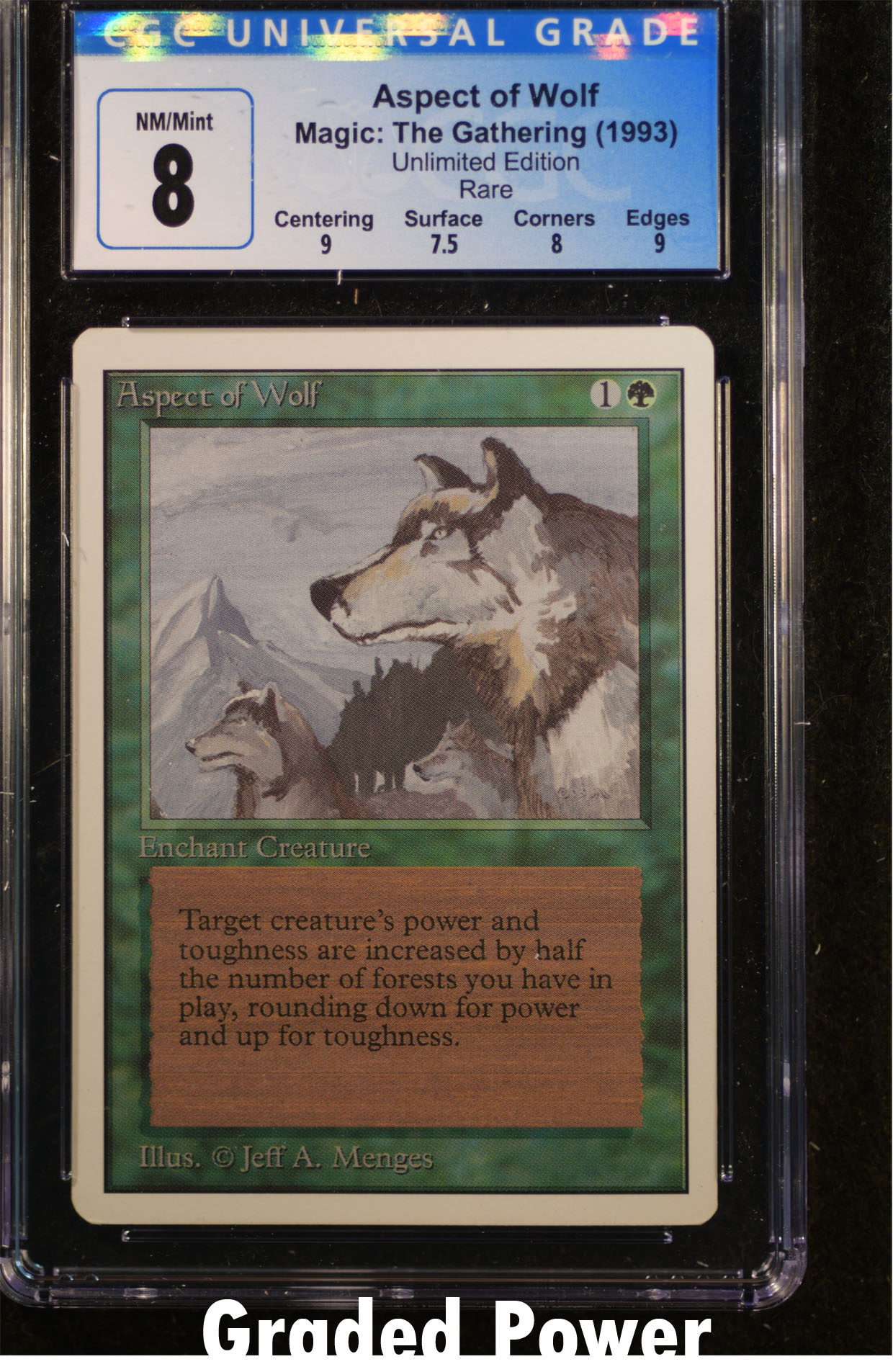 Aspect of Wolf CGC 8 (9004)
