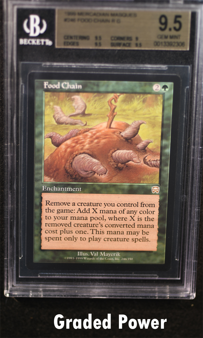 Food Chain BGS 9.5 (2306)