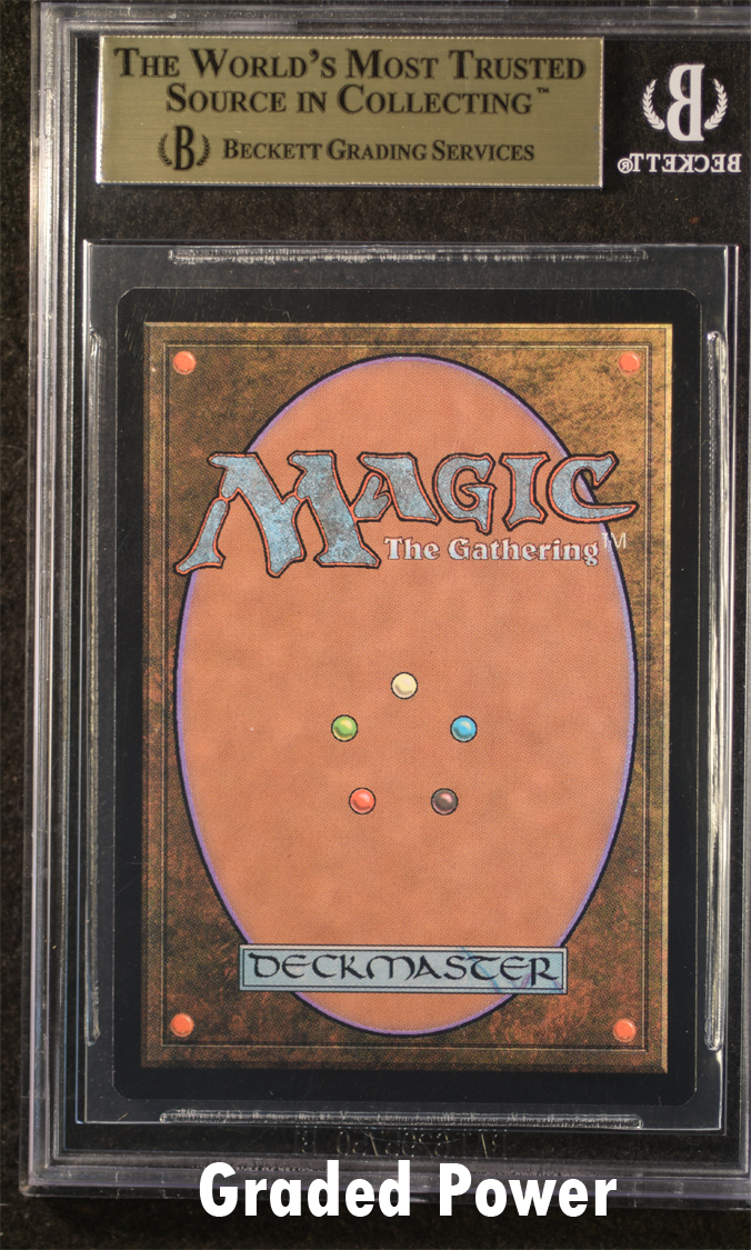 Southern Elephant BGS 9.5