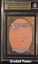 Southern Elephant BGS 9.5