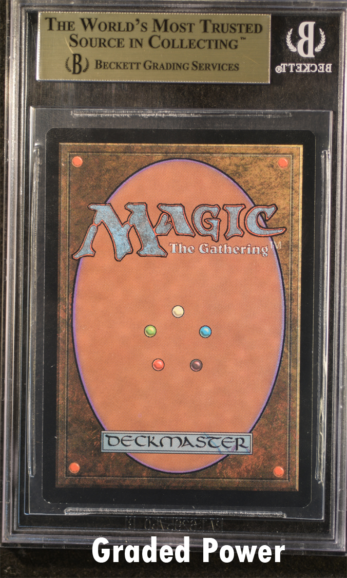 Zodiac Rabbit BGS 9.5