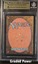 Zodiac Rabbit BGS 9.5