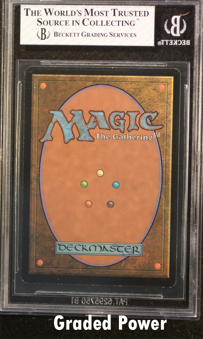 Swamp Foil  8  (1816)