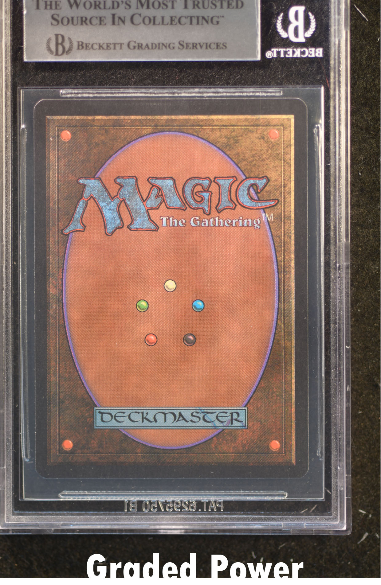 Grizzly Bears BGS 9 (2391)