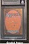 Grizzly Bears BGS 9 (2391)