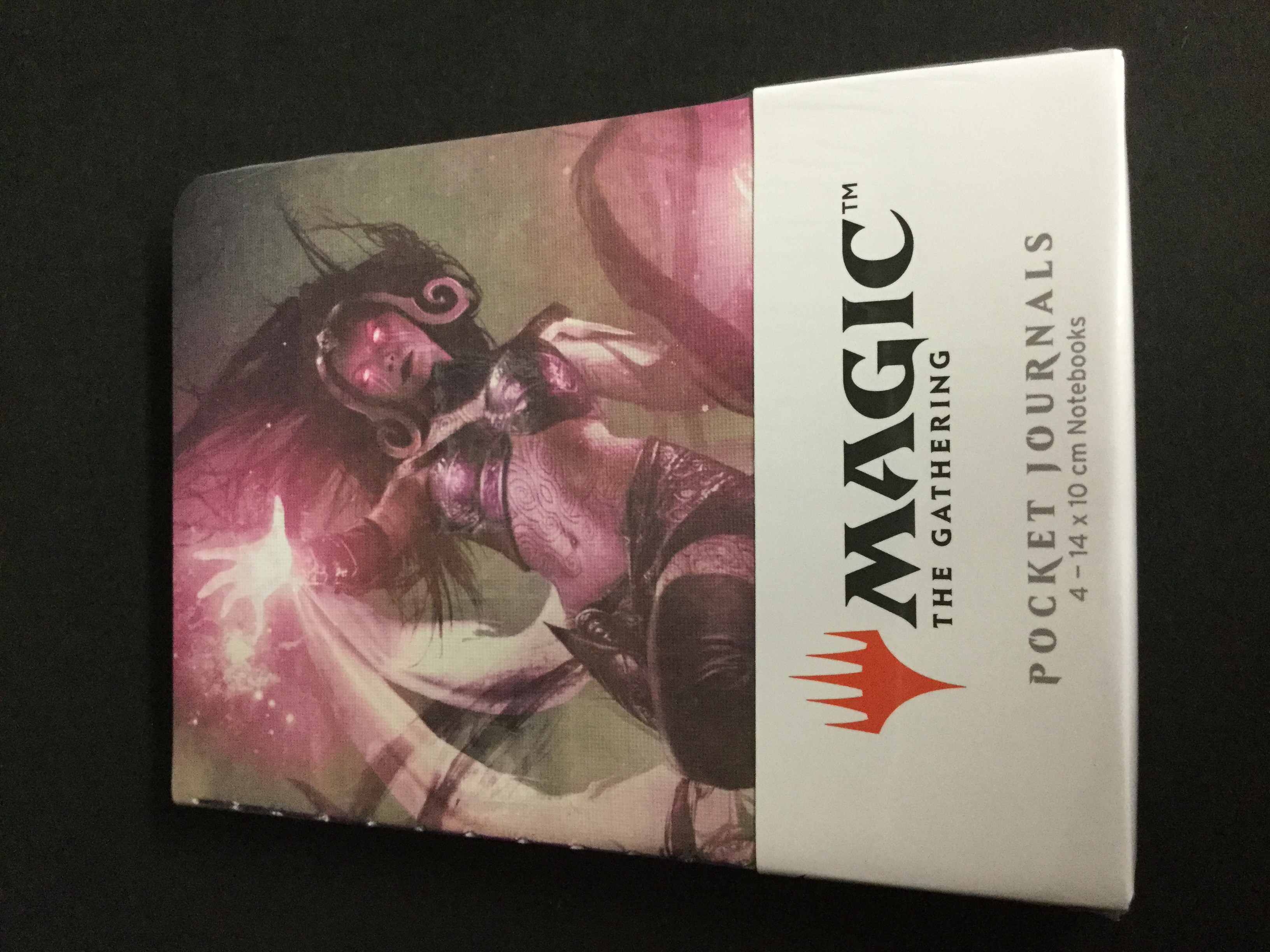 Liliana 4 pack Pocket Journal SEALED