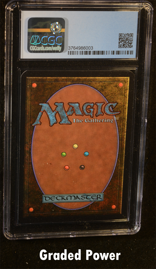 Forest (Mushrooms) CGC 9 Quad +