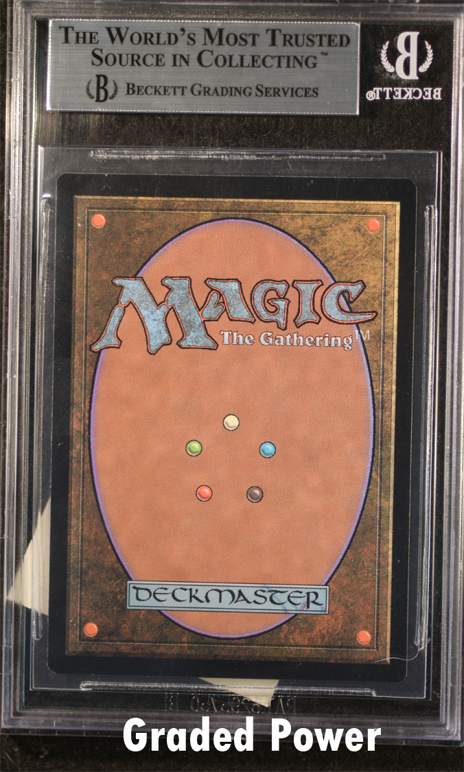 Trained Cheetah BGS 9