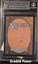 Trained Cheetah BGS 9