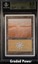 Plains BGS 9.5