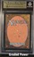 Plains BGS 9.5