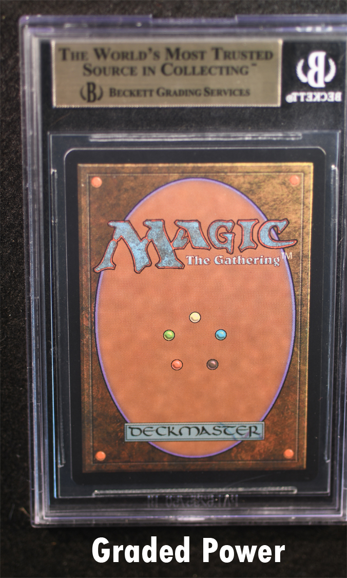 Food Chain BGS 9.5 (2306)