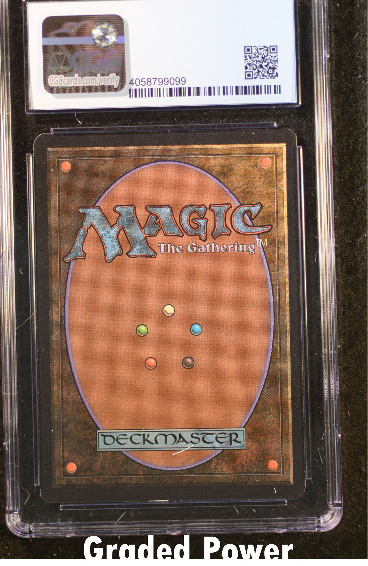 Kudzu CGC 8.5 (9099)