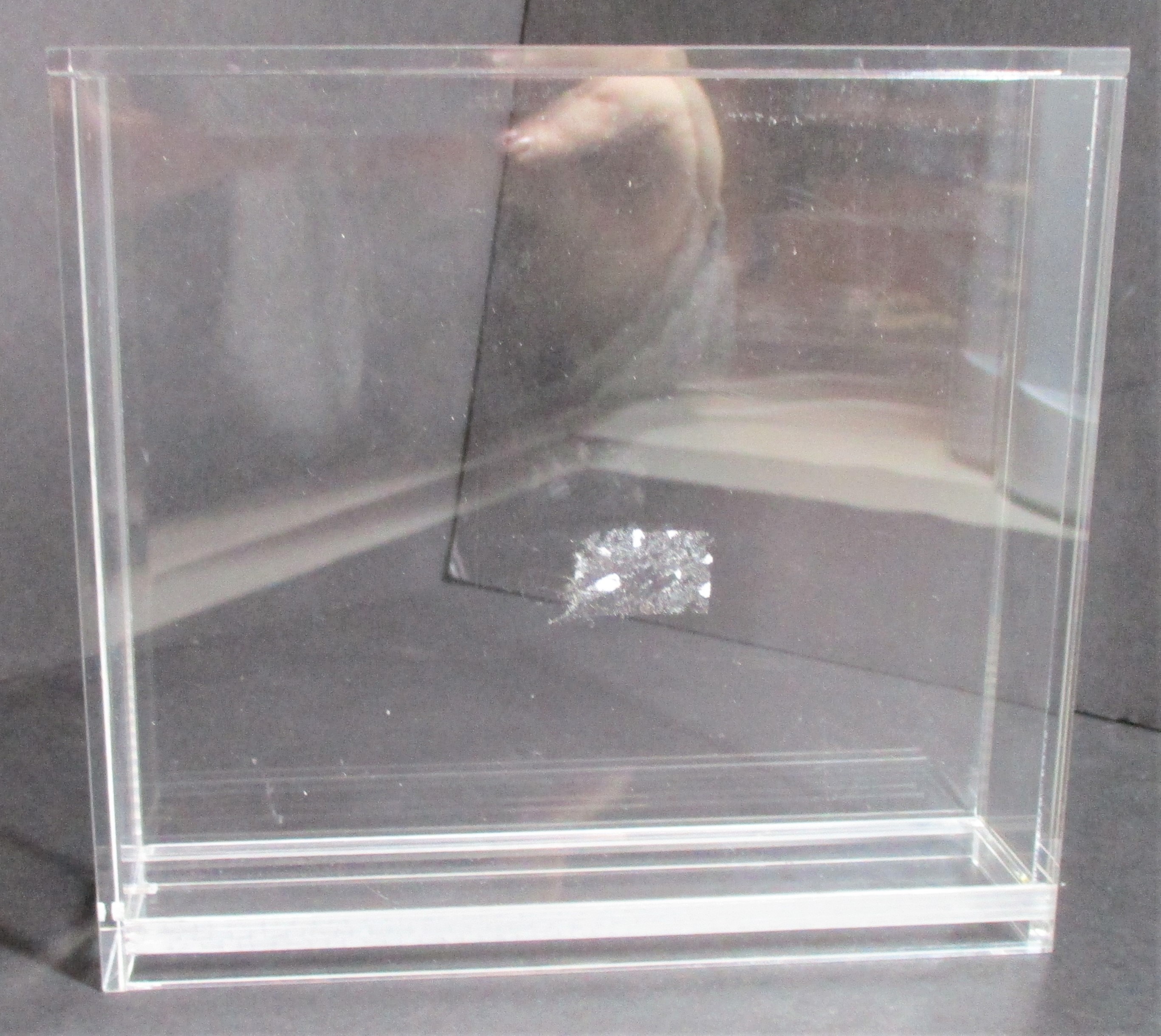 5x PS1 Acrylic Display Guard with Insert (60035)