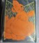 Shining Fates Eevee Sleeves (65 count)