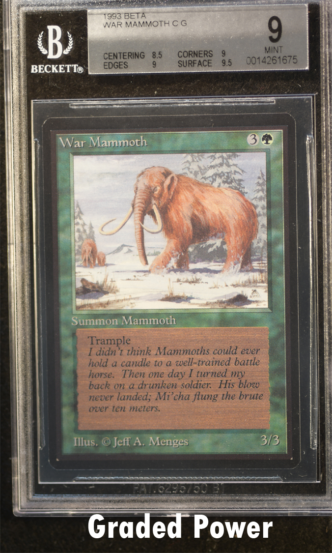 War Mammoth  9  (1675)
