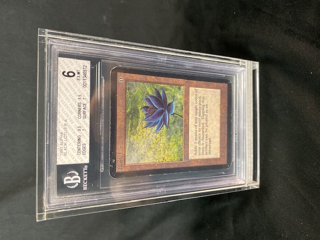 MTG 5x Acrylic BGS Card Protector Display Guard (60007)