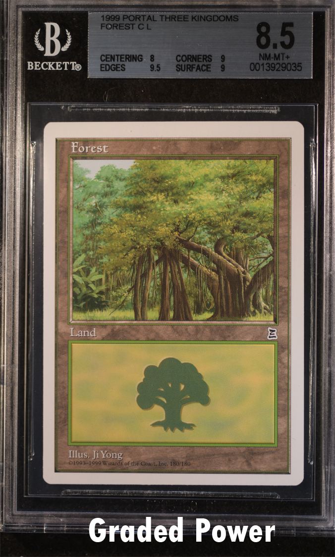 Forest BGS 8.5