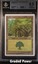 Forest BGS 8.5