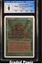 Living Lands CGC 9 (9105)