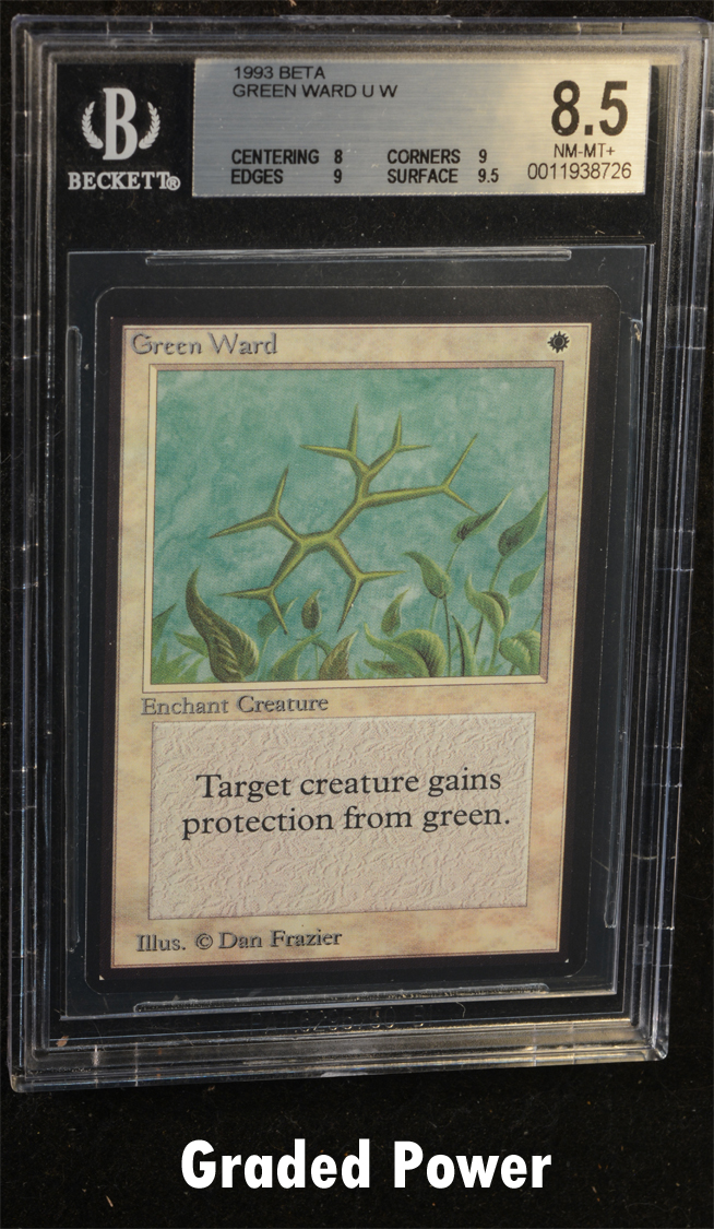 Green Ward  8.5