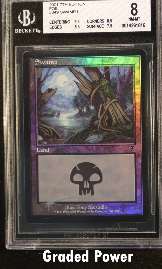 Swamp Foil  8  (1816)