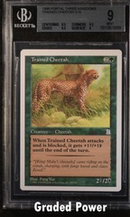 Trained Cheetah BGS 9