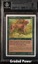 Trained Cheetah BGS 9