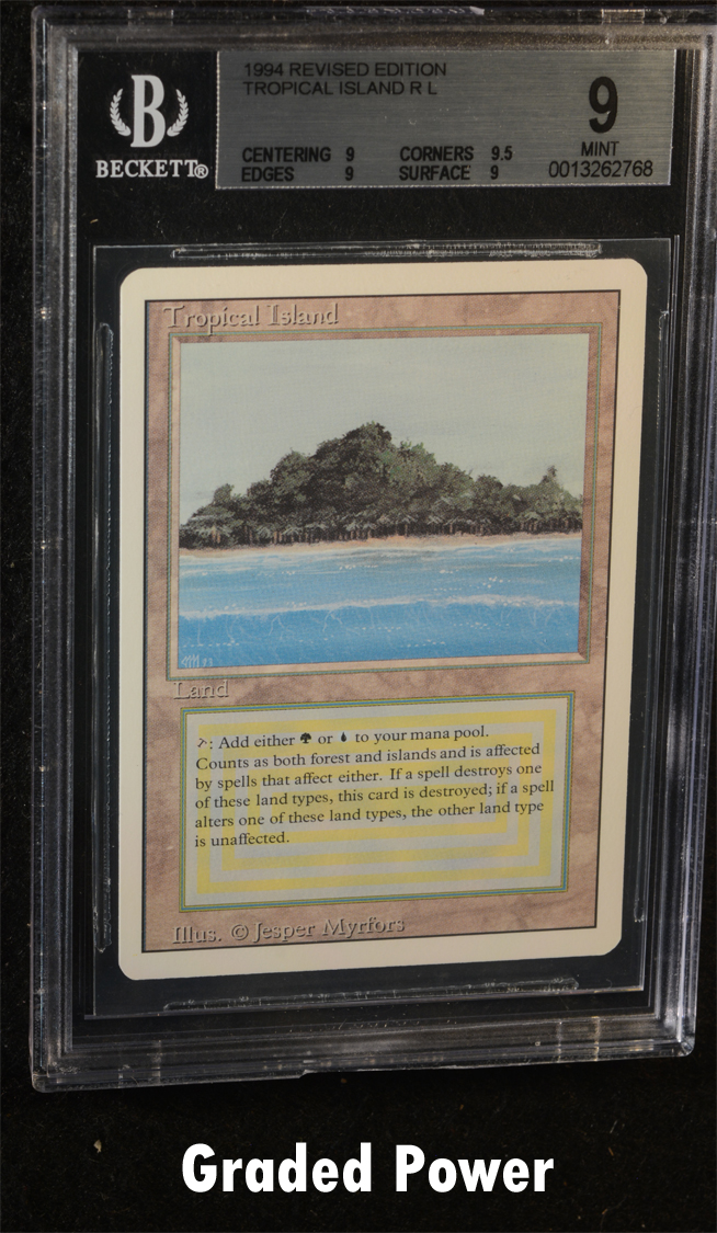 Tropical Island  9  (2768) Quad +